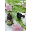 Serum Tăng Cường Chống Lão Hóa Và Sáng Da – Acai Berry Active Antioxidant Serum (5ml) - Botáni