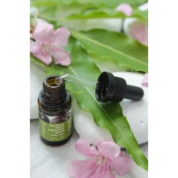 Serum Tăng Cường Chống Lão Hóa Và Sáng Da – Acai Berry Active Antioxidant Serum (15ml) - Botáni