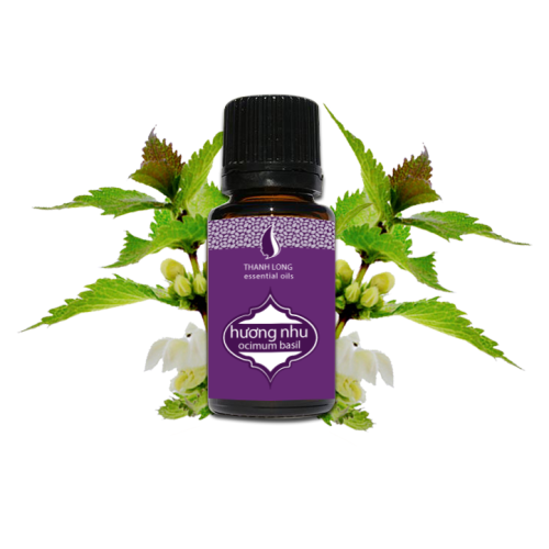 Tinh dầu Hương Nhu Thanh Long (10ml)