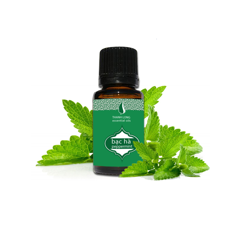 Tinh dầu Bạc Hà Thanh Long (10ml)