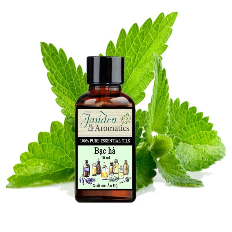 Tinh Dầu Bạc Hà 10 ml - Jandco