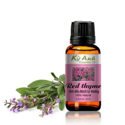 Tinh Dầu Bách Lý Hương 10ml - Kỳ Anh 