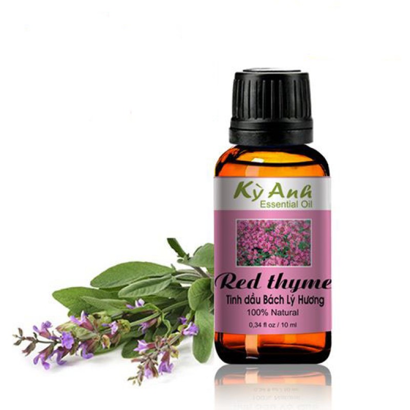 Tinh Dầu Bách Lý Hương 10ml - Kỳ Anh
