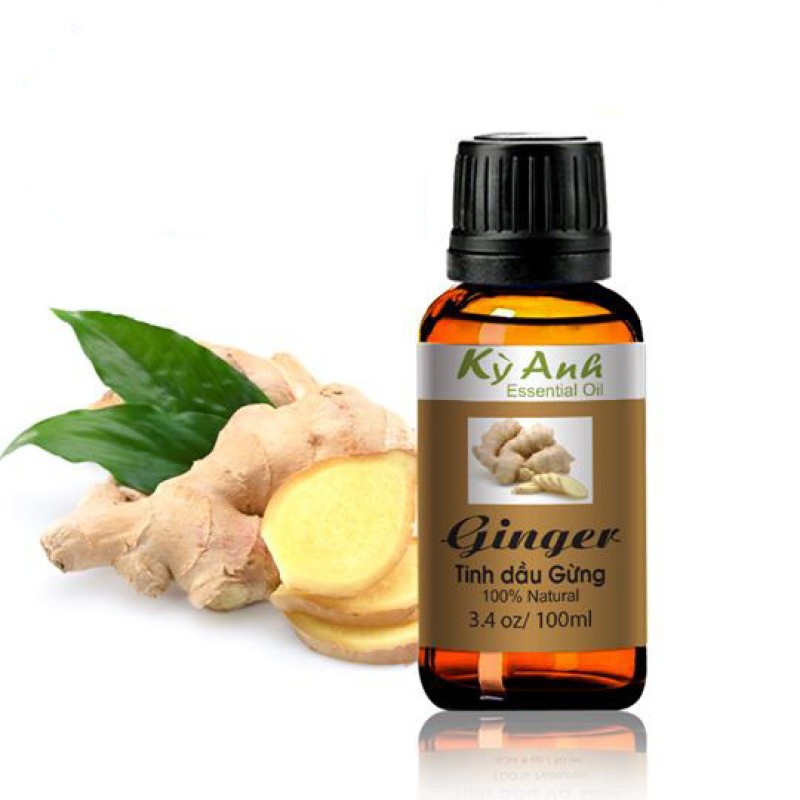 Tinh Dầu Gừng 10ml - Kỳ Anh