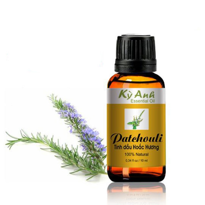 Tinh Dầu Hoắc Hương 10ml - Kỳ Anh