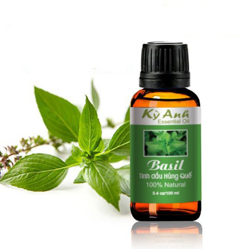 Tinh Dầu Húng Quế 10ml - Kỳ Anh