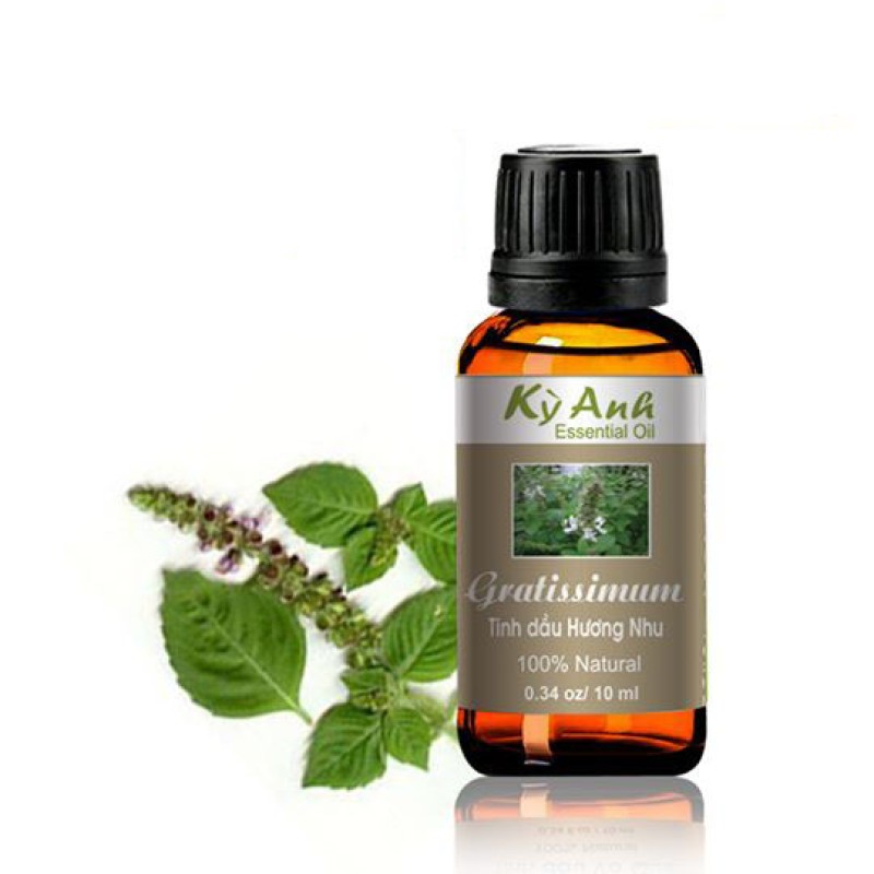 Tinh Dầu Hương Nhu 10ml - Kỳ Anh