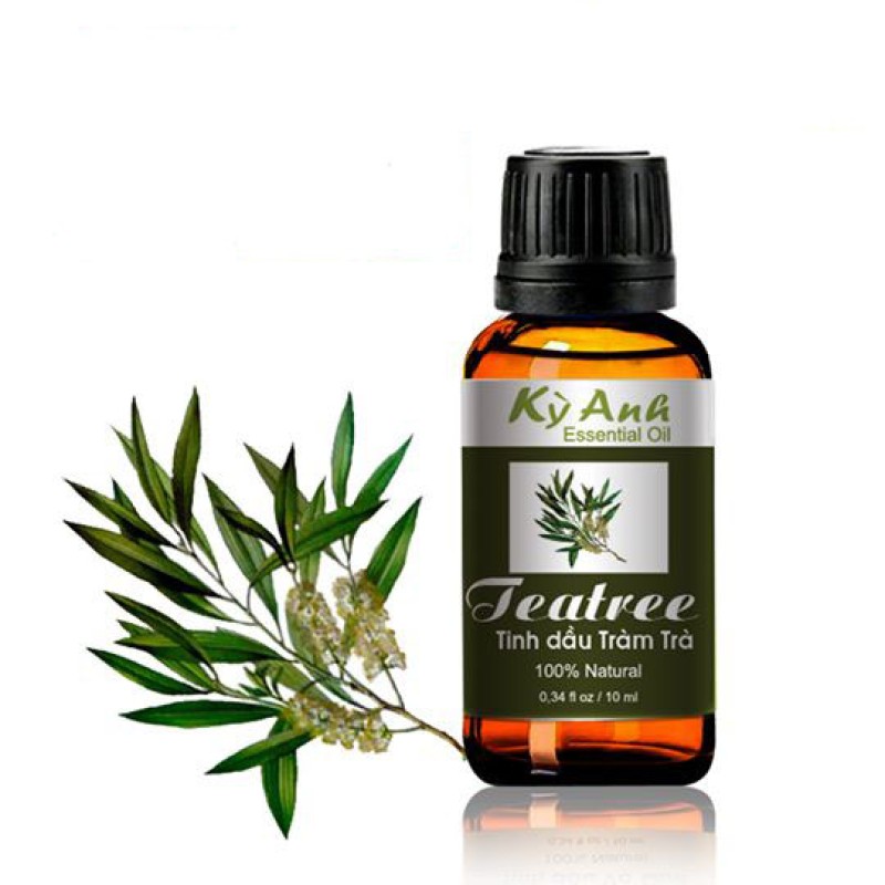 Tinh dầu tràm trà 10ml - Kỳ Anh