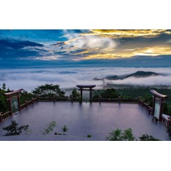 Hành Hương Linh Quy - Pháp Ấn: TPHCM - Bảo Lộc (2 ngày 1 đêm) - Du lịch Cảnh Việt