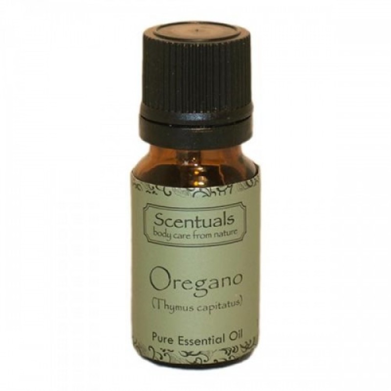 Tinh Dầu Rau Thơm - Oregano (Thymus Capitatus) Oil 10ml - Scentuals