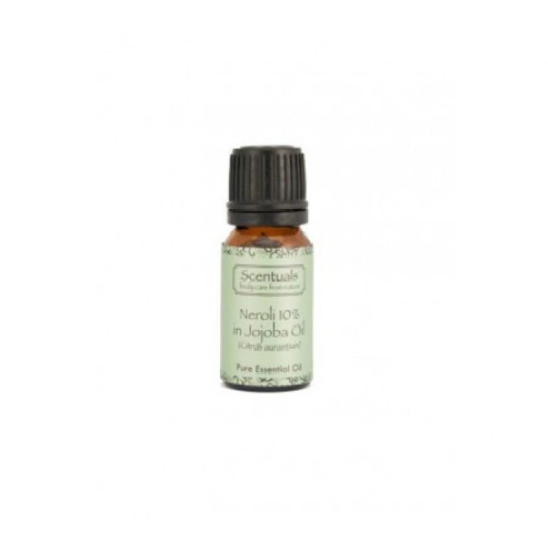 Tinh Dầu Hoa Cam - Neroli (Citrus Aurantium) 10% in Jojoba OIl 10ml - Scentuals