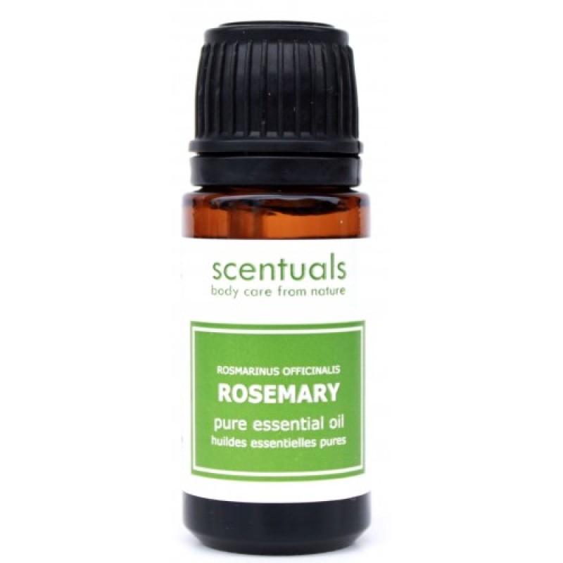 Tinh Dầu Hương Thảo - Rosemary Oil 10ml - Scentuals