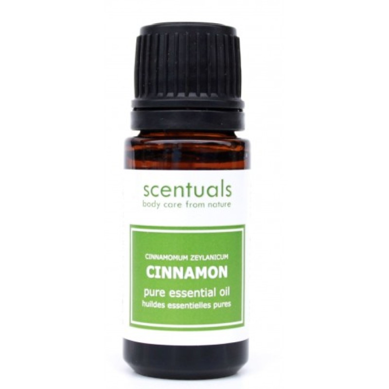 Tinh Dầu Quế - Cinnamon Oil 10ml - Scentuals