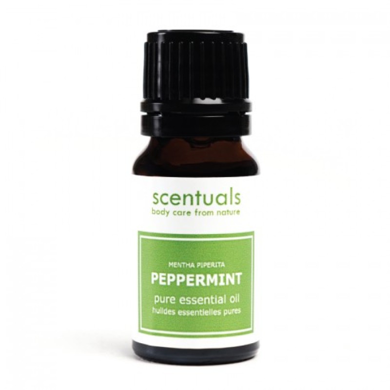 Tinh Dầu Bạc Hà - Peppermint Oil 10ml - Scentuals