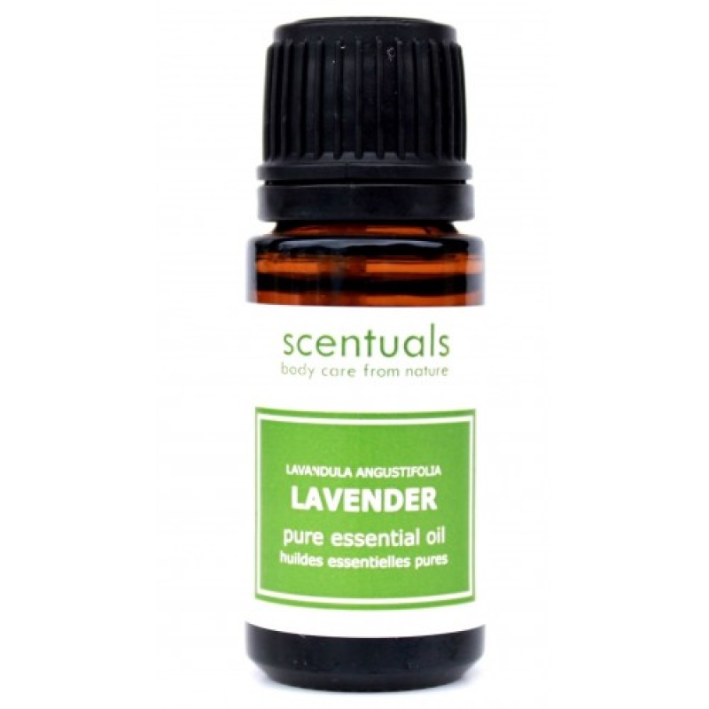 Tinh Dầu Hoa Oải Hương - Lavender Oil 10ml - Scentuals