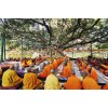 Dưới Cội Bồ Đề - Tuổi Trẻ và Phật Giáo (7 ngày 6 đêm) - Du lịch Hoa Thiền