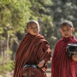 Dưới Cội Bồ Đề - Tuổi Trẻ và Phật Giáo (7 ngày 6 đêm) - Du lịch Hoa Thiền