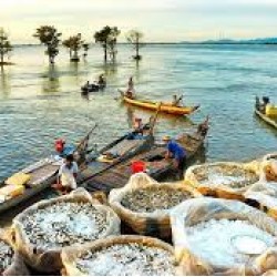 Tour du lịch Sài Gòn – Châu Đốc – Núi Cấm – Trà Sư (2 ngày 1 đêm) - Du Lịch Nắng Mới