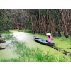Tour du lịch Sài Gòn – Châu Đốc – Núi Cấm – Trà Sư (2 ngày 1 đêm) - Du Lịch Nắng Mới