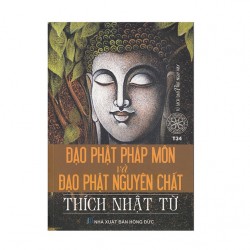 Đạo Phật Pháp Môn Và Đạo Phật Nguyên Chất - Thích Nhật Từ (Đạo Phật Ngày Nay)