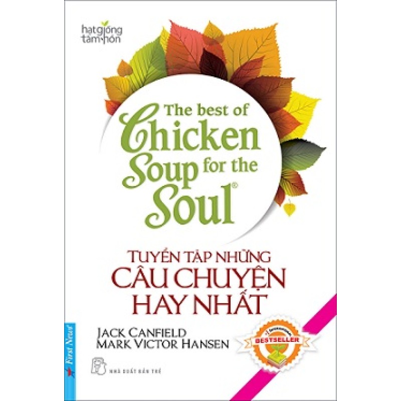 Tuyển Tập Những Câu Chuyện Hay Nhất - Jack Canfield - Mark Victor Hansen (Trí Việt)