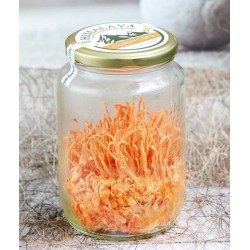 Đông Trùng Hạ Thảo Tươi Himalaya (60 gram)