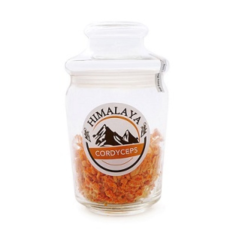 Đông Trùng Hạ Thảo Chay Himalaya (60gram tươi)