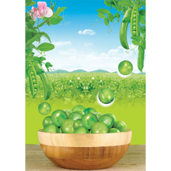 Đậu Hòa Lan Wasabi Tân Tân  (60gram) - 10 gói / Túi