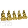 Ngự Trì Như Lai (05 Tượng)